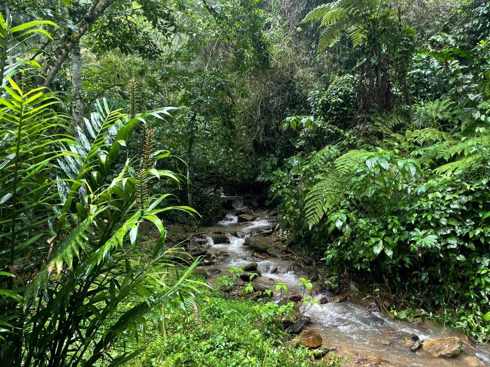Hadco Experiences At Asa Wright Nature Centre Blanchisseuse Экстерьер фото