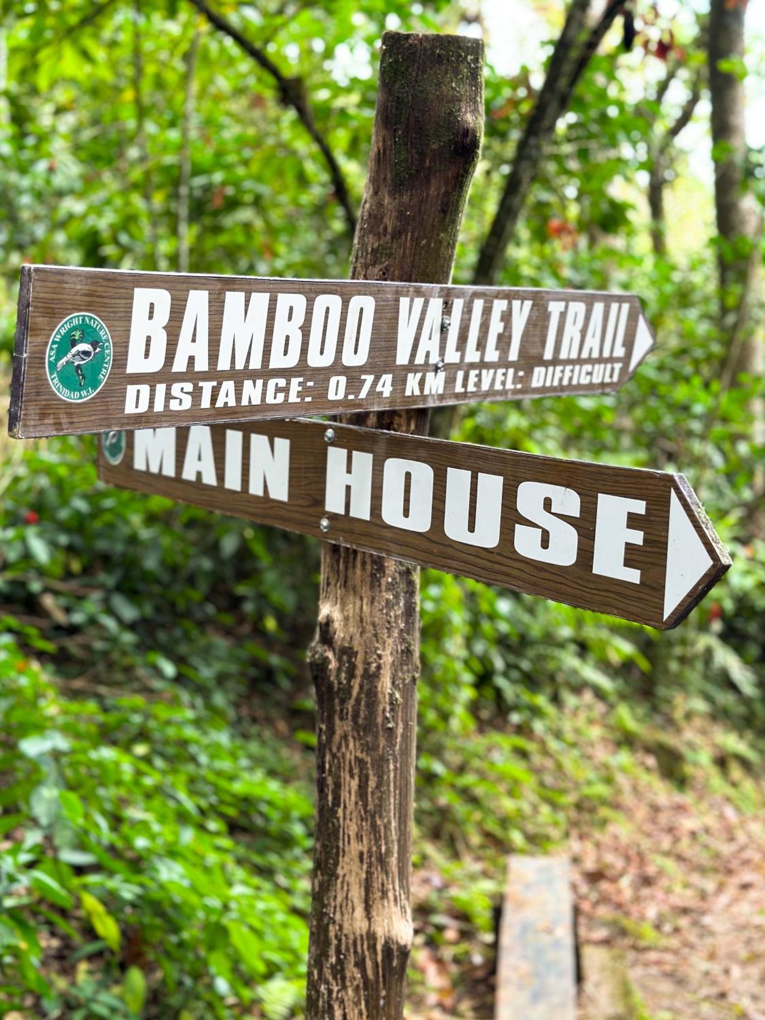 Hadco Experiences At Asa Wright Nature Centre Blanchisseuse Экстерьер фото