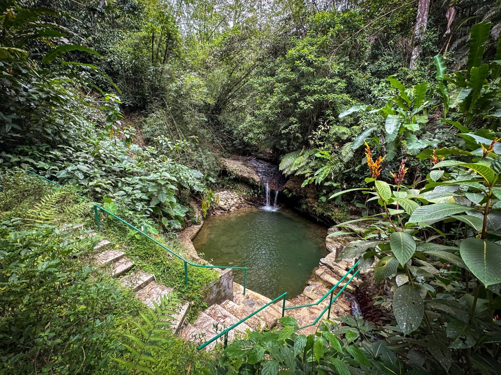 Hadco Experiences At Asa Wright Nature Centre Blanchisseuse Экстерьер фото